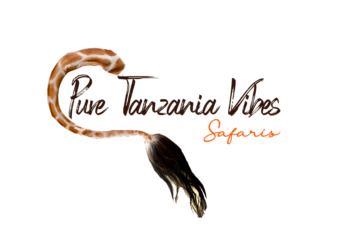 Tourly logo